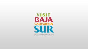 Logotipo Visit Baja Sur | Grupo Idea Consulting